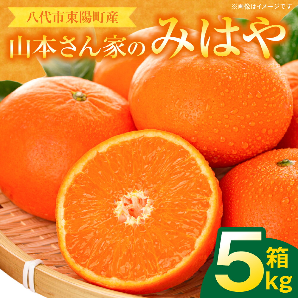 【先行予約】 八代市東陽産 山本さん家の「 みはや 」 5kg みかん 柑橘 フルーツ 果物 果実 ミカン 蜜柑 熊本県 八代市 【2026年12月上旬より順次発送】
