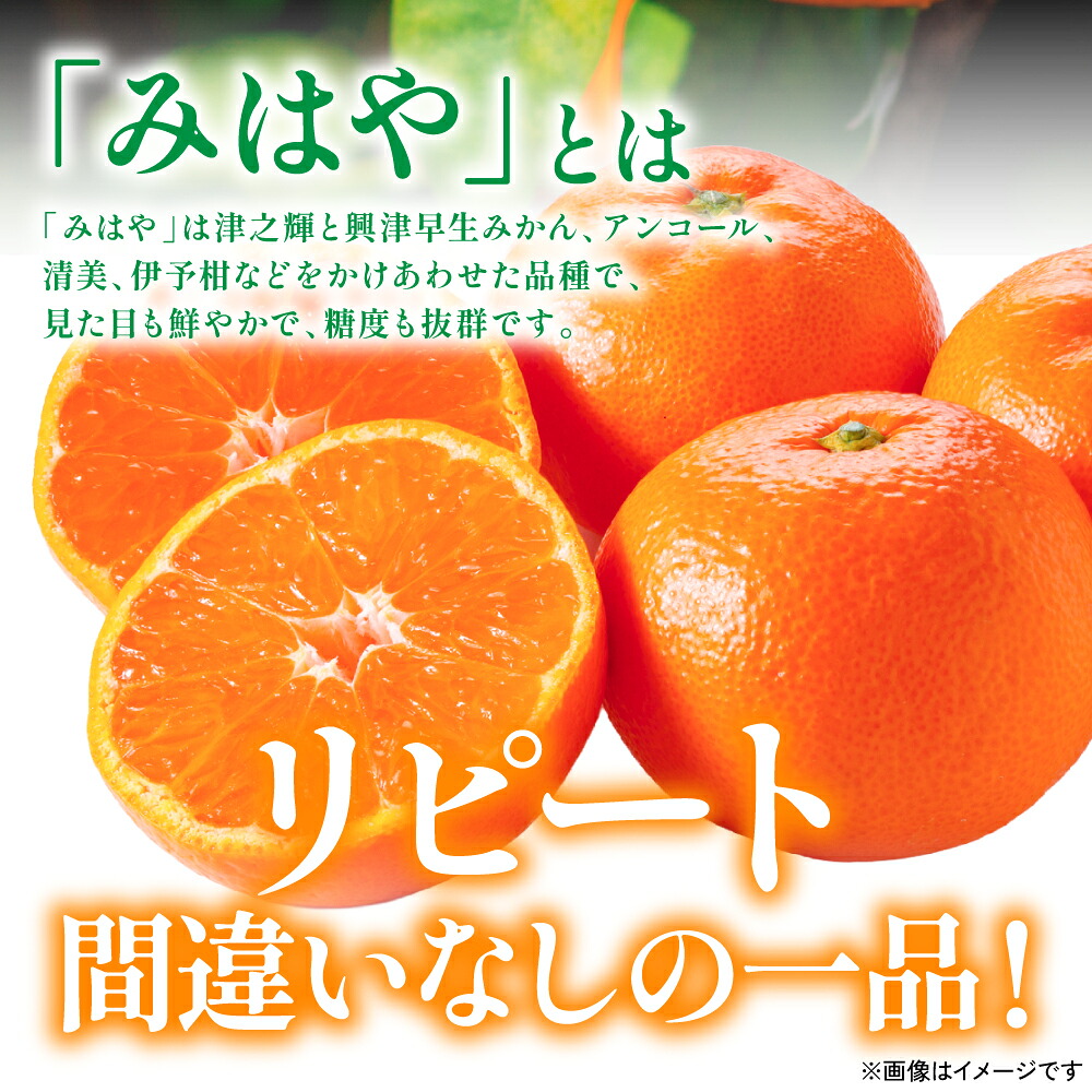 【先行予約】 八代市東陽産 山本さん家の「 みはや 」 5kg みかん 柑橘 フルーツ 果物 果実 ミカン 蜜柑 熊本県 八代市 【2026年12月上旬より順次発送】
