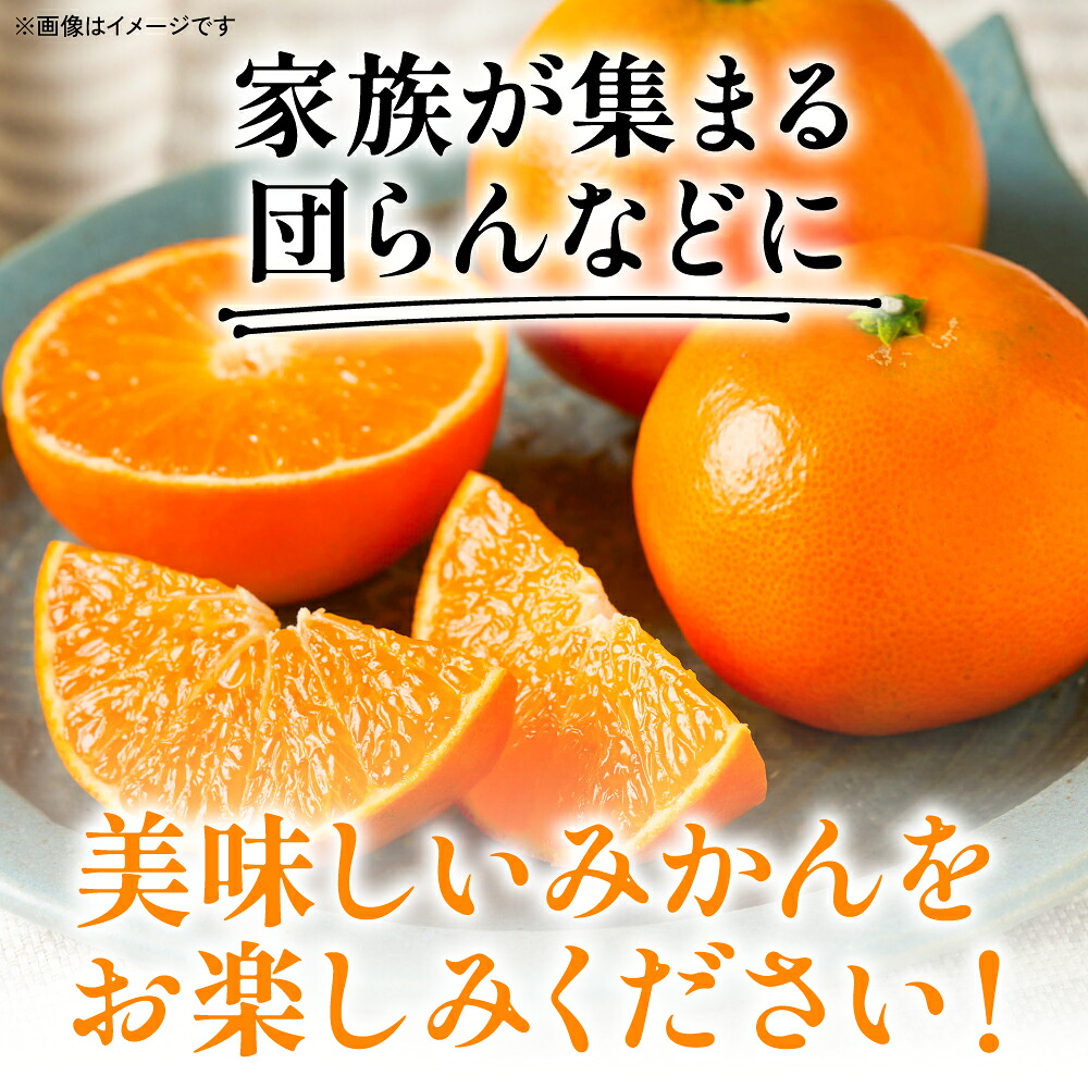 【先行予約】 八代市東陽産 山本さん家の「 みはや 」 5kg みかん 柑橘 フルーツ 果物 果実 ミカン 蜜柑 熊本県 八代市 【2026年12月上旬より順次発送】