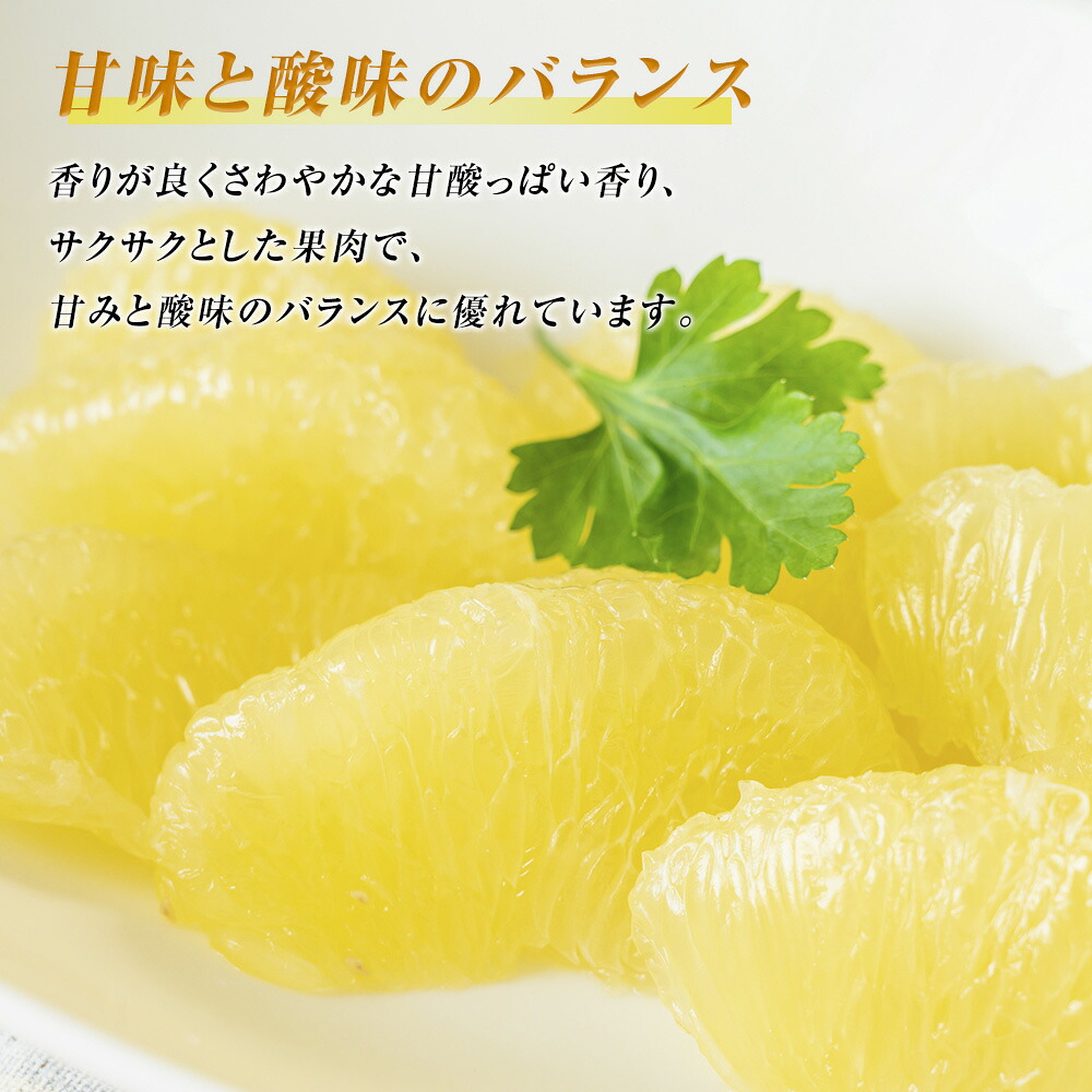 【先行予約】数量限定　八代市特産　晩白柚　Lサイズ 2玉 ばんぺいゆ 柑橘 フルーツ 果物 果実 特産品 熊本県 八代市 【2026年12月上旬より順次発送】