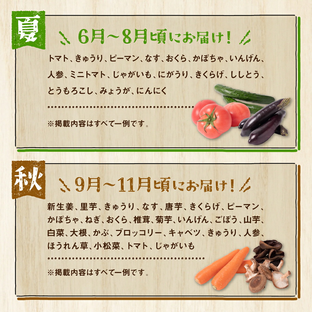 【定期便3回】【2ヶ月に1回お届け】八代市産！旬の農産物詰合せ 復興 福袋 7品以上 野菜 果実 果物 やさい くだもの フルーツ 合計7品目以上 セット 季節の野菜 季節の果実 春 夏 秋 冬 旬