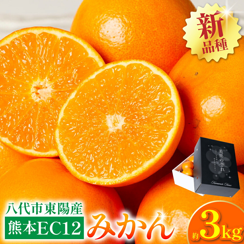 【先行予約】 八代市東陽町産の 「熊本EC12みかん」 約3kg みかん 柑橘 フルーツ 果物 果実 ミカン 蜜柑 熊本県 八代市 【2026年12月上旬より順次発送】