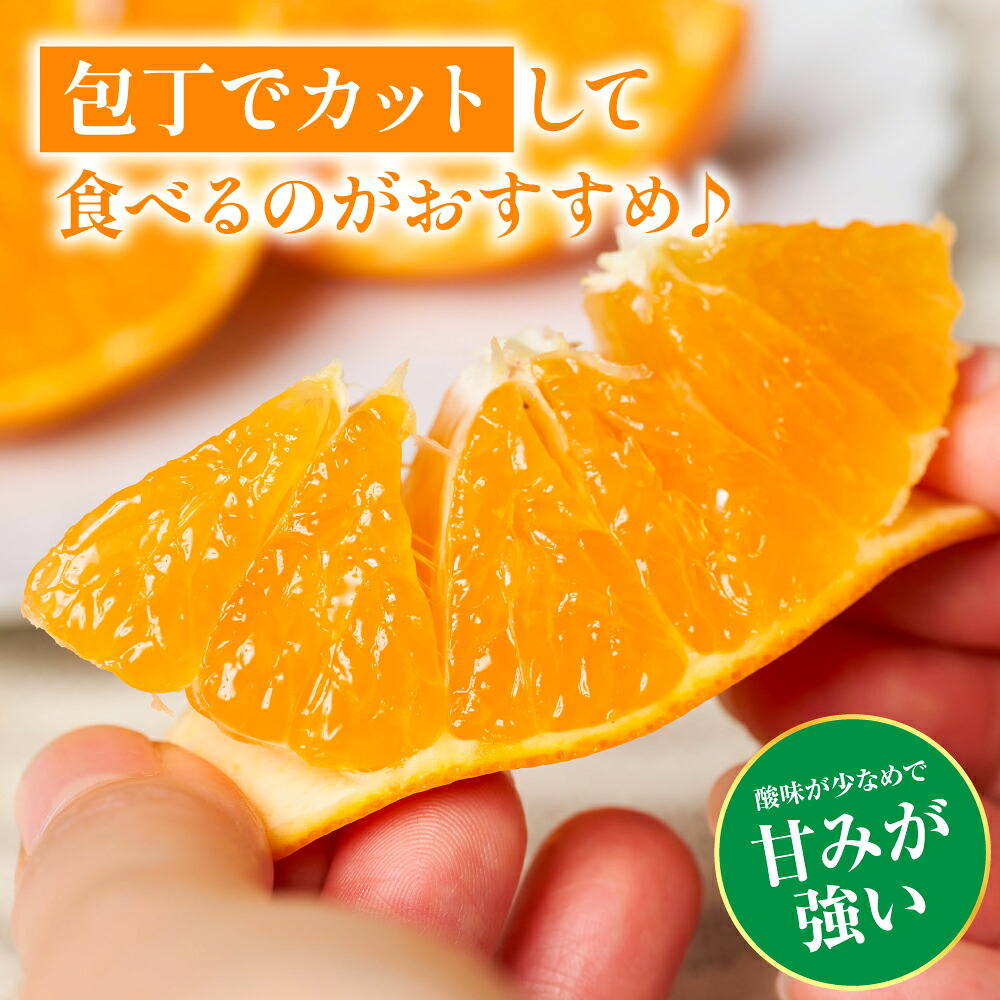 【先行予約】 八代市東陽町産の 「熊本EC12みかん」 約3kg みかん 柑橘 フルーツ 果物 果実 ミカン 蜜柑 熊本県 八代市 【2026年12月上旬より順次発送】