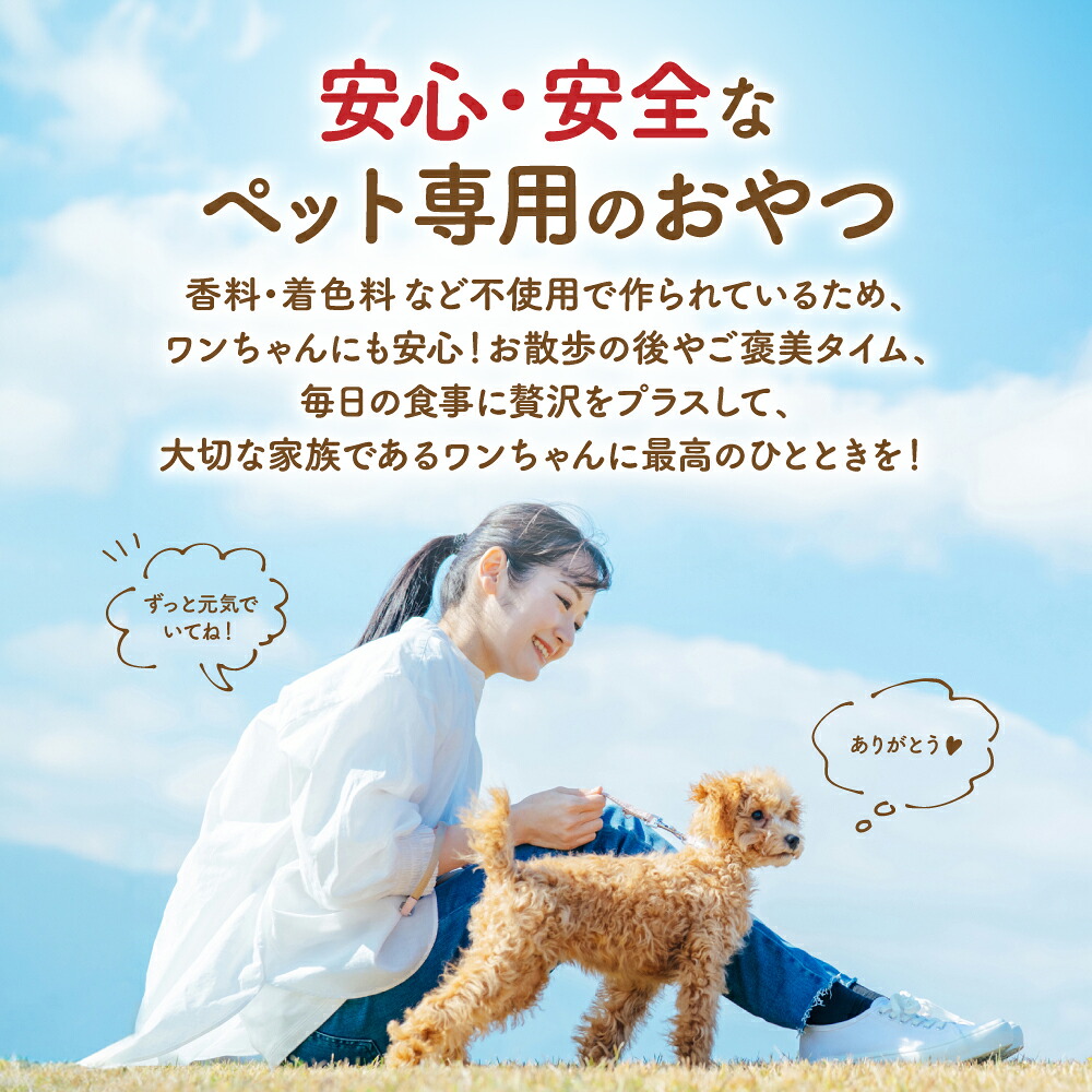 【ペット家ヨシナガ】猪肉サイコロレトルト500g 猪 サイコロ 肉 ペットフード 香料 着色料 不使用 犬 いぬ ペット用 猪肉 愛犬 ドッグフード おやつ 国産