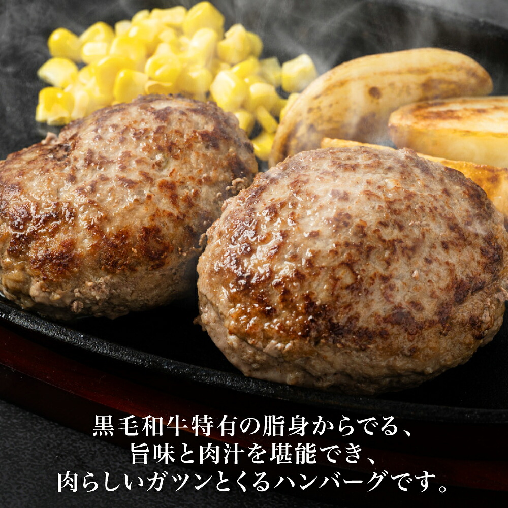 九州産 黒毛和牛ハンバーグ 960g (120g×8個)