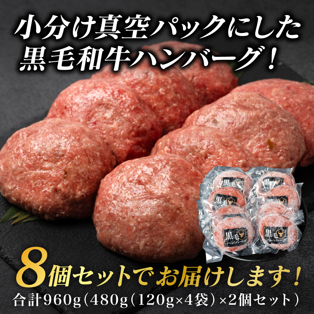 食べ比べハンバーグセット（あか牛ハンバーグ＆黒毛和牛ハンバーグ）