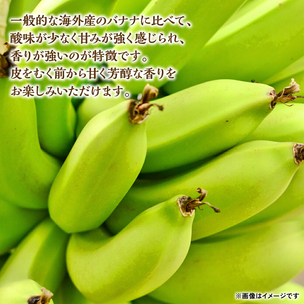 たかきのバナナ 5本入 化粧箱入り ばなな 果物 フルーツ ギフト 国産 朝食 スムージー 熊本県 八代市
