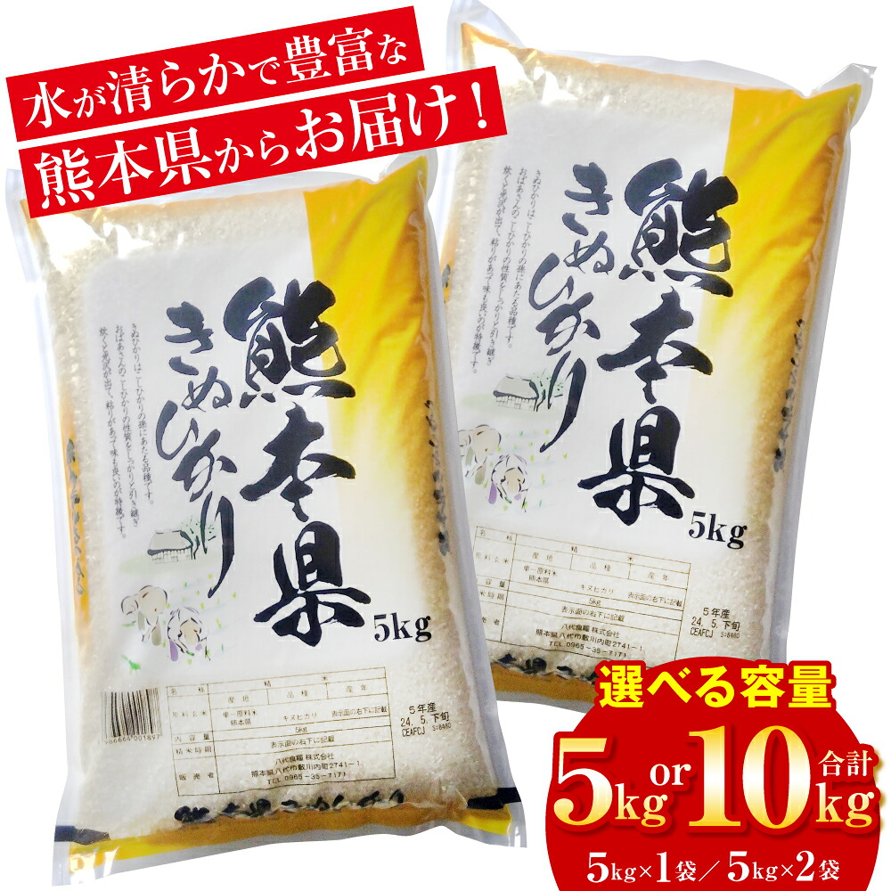 【選べる内容量】【先行予約】 《令和8年産》 熊本県産 きぬひかり 5kg・10kg 米 お米 精米 白米 ごはん ご飯 おにぎり お弁当 熊本県 八代市 【2026年9月上旬より順次発送】