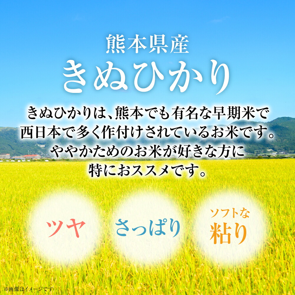 【選べる内容量】【先行予約】 《令和8年産》 熊本県産 きぬひかり 5kg・10kg 米 お米 精米 白米 ごはん ご飯 おにぎり お弁当 熊本県 八代市 【2026年9月上旬より順次発送】