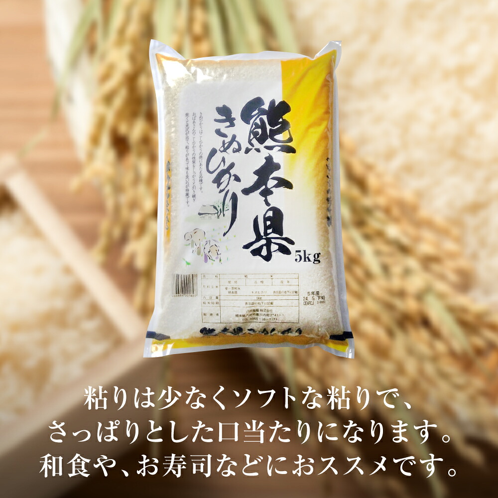 【選べる内容量】【先行予約】 《令和8年産》 熊本県産 きぬひかり 5kg・10kg 米 お米 精米 白米 ごはん ご飯 おにぎり お弁当 熊本県 八代市 【2026年9月上旬より順次発送】