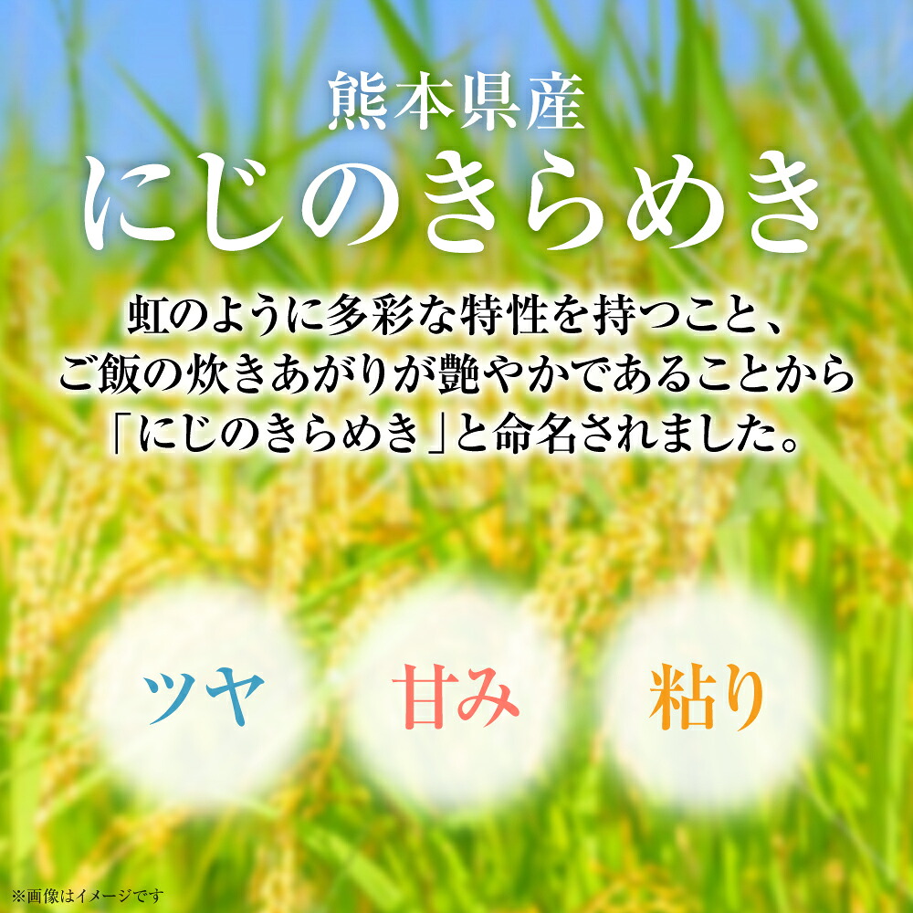 【先行予約】【選べる内容量】 《令和8年産》 熊本県産 にじのきらめき 5kg～10kg 米 お米 精米 白米 ごはん ご飯 おにぎり お弁当 熊本県 八代市 【2026年9月上旬より順次発送】