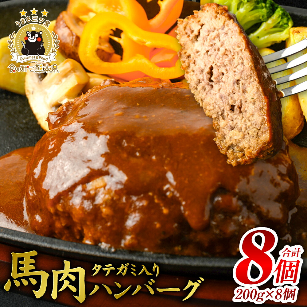 FN タテガミ入り 馬肉 ハンバーグ ( デミソース ) 8個 セット 合計約1.6kg 200g×8個 デミグラスソース ハンバーグ 馬肉 惣菜 おかず 馬肉 タテガミ 真空パック 冷凍