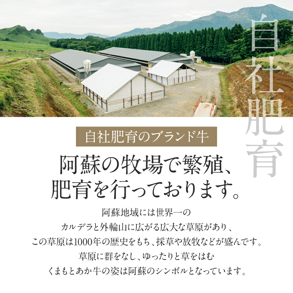 【12ヶ月定期便】あか牛ステーキ12種 極上食べ比べ