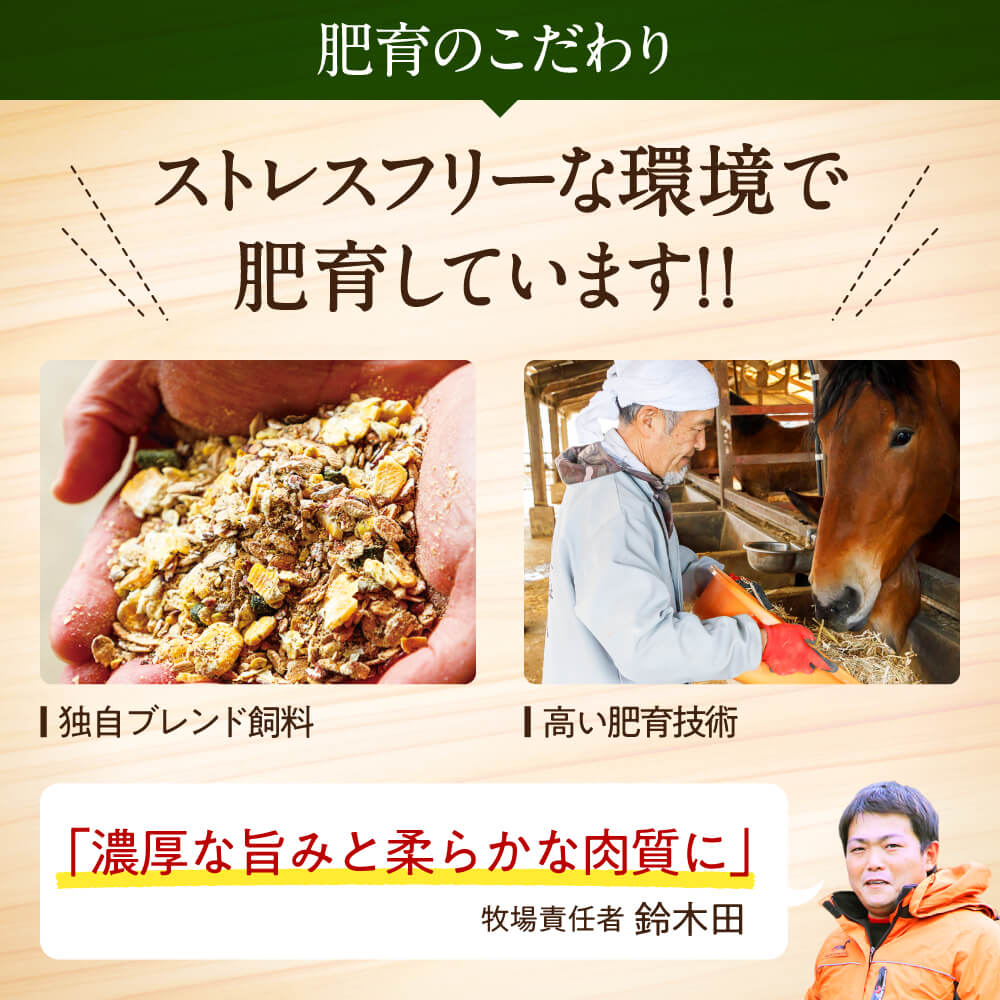 熊本馬刺し 高級赤身 霜降り たてがみ など5種を贅沢に楽しむセットに馬刺しユッケ付き (馬さし お肉 馬肉 刺身 刺し身 馬刺し 上赤身 たてがみ 馬ヒレ ユッケ 醤油付き 馬刺し小分け 馬刺し冷凍