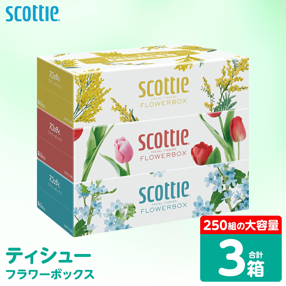 【スコッティ】 ティシュー フラワーボックス 250組 3箱 ティッシュ 日用品 生活必需品 防災備蓄 ストック 備蓄 新生活 防災 消耗品 生活用品 日用消耗品 箱ティッシュ