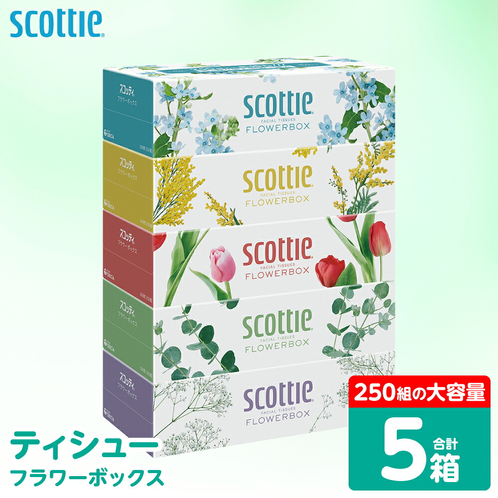【スコッティ】 ティシュー フラワーボックス 250組 5箱 ティッシュ 日用品 生活必需品 防災備蓄 ストック 備蓄 新生活 防災 消耗品 生活用品 日用消耗品 箱ティッシュ