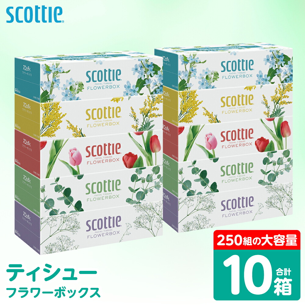 【スコッティ】 ティシュー フラワーボックス 250組 10箱 ティッシュ 日用品 生活必需品 防災備蓄 ストック 備蓄 新生活 防災 消耗品 生活用品 日用消耗品 箱ティッシュ