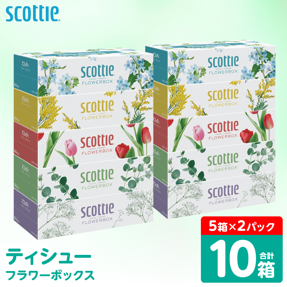【スコッティ】 ティシュー フラワーボックス 250組 10箱 ティッシュ 日用品 生活必需品 防災備蓄 ストック 備蓄 新生活 防災 消耗品 生活用品 日用消耗品 箱ティッシュ