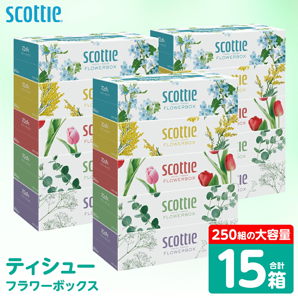 【スコッティ】 ティシュー フラワーボックス 250組 15箱 ティッシュ 日用品 生活必需品 消耗品 紙 まとめ買い 備蓄 防災備蓄 デザインボックス ストック 新生活 防災 生活用品 日用消耗品