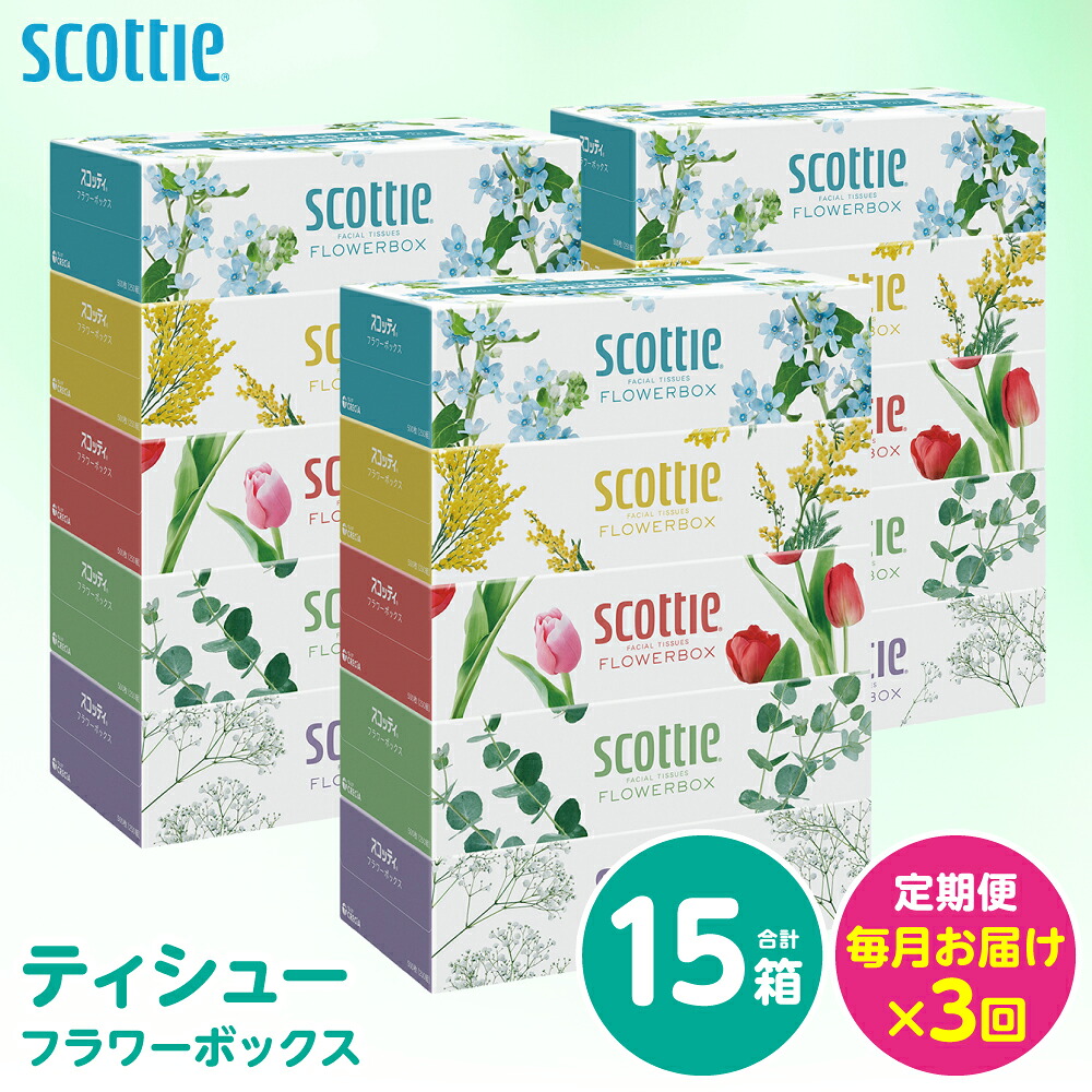 【定期便3回】【毎月お届け】【スコッティ】 ティシュー フラワーボックス 250組 15箱 計45箱 ティッシュ 日用品 生活必需品 消耗品 紙 まとめ買い 備蓄 防災備蓄 ストック デザインボックス