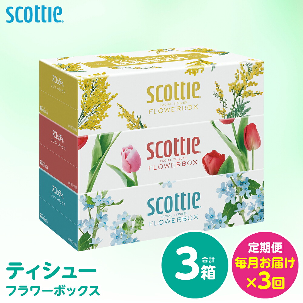 【定期便3回】【毎月お届け】【スコッティ】 ティシュー フラワーボックス 250組 3箱 計9箱 ティッシュ 日用品 生活必需品 消耗品 紙 備蓄 防災備蓄 ストック デザインボックス 新生活 防災
