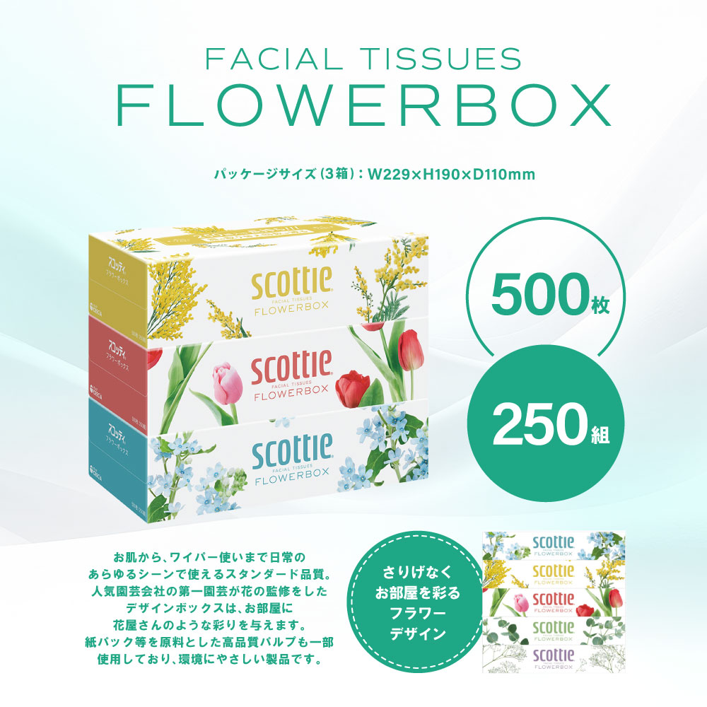 【定期便3回】【毎月お届け】【スコッティ】 ティシュー フラワーボックス 250組 3箱 計9箱 ティッシュ 日用品 生活必需品 消耗品 紙 備蓄 防災備蓄 ストック デザインボックス 新生活 防災
