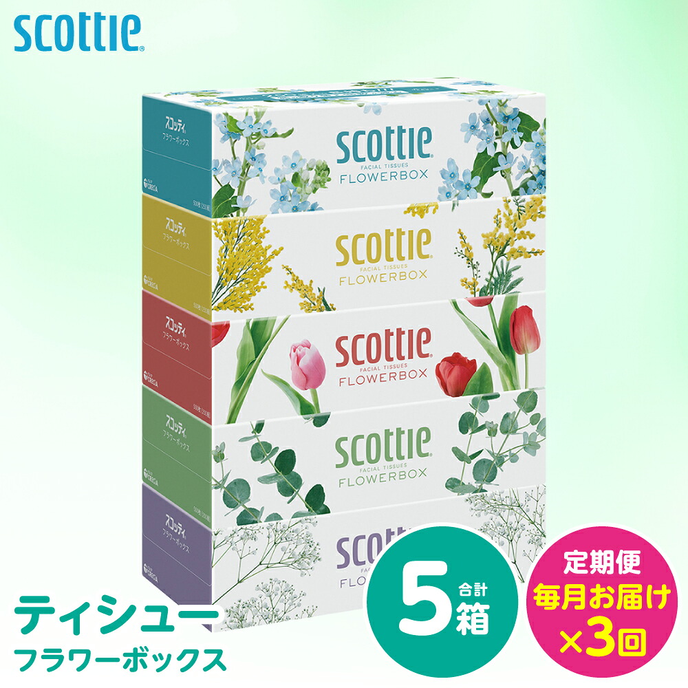 【定期便3回】【毎月お届け】【スコッティ】 ティシュー フラワーボックス 250組 5箱 計15箱 ティッシュ 日用品 生活必需品 消耗品 紙 備蓄 防災備蓄 ストック デザインボックス 新生活 防災
