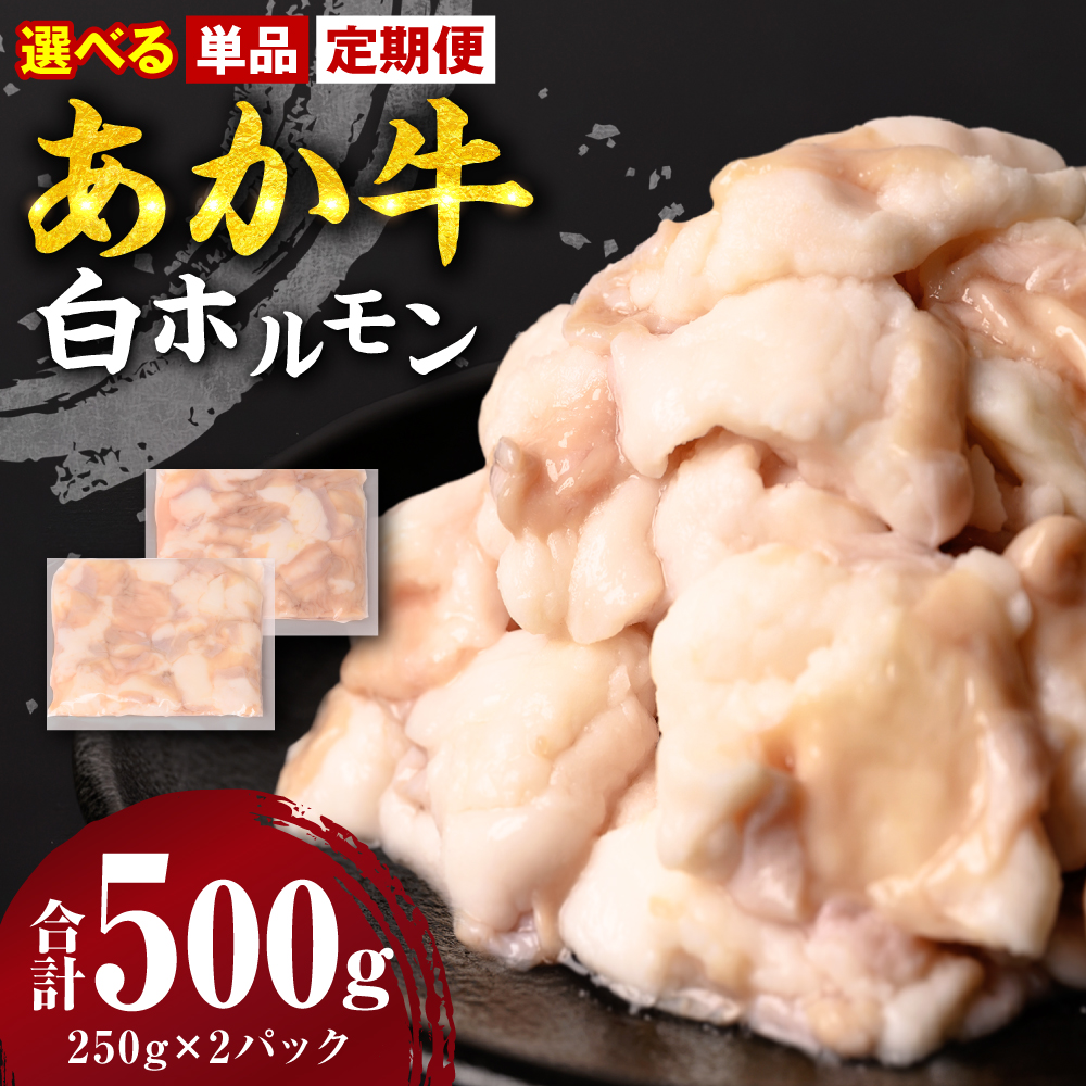 【選べる定期便・単品】あか牛 白ホルモン 500g 250g×2パック