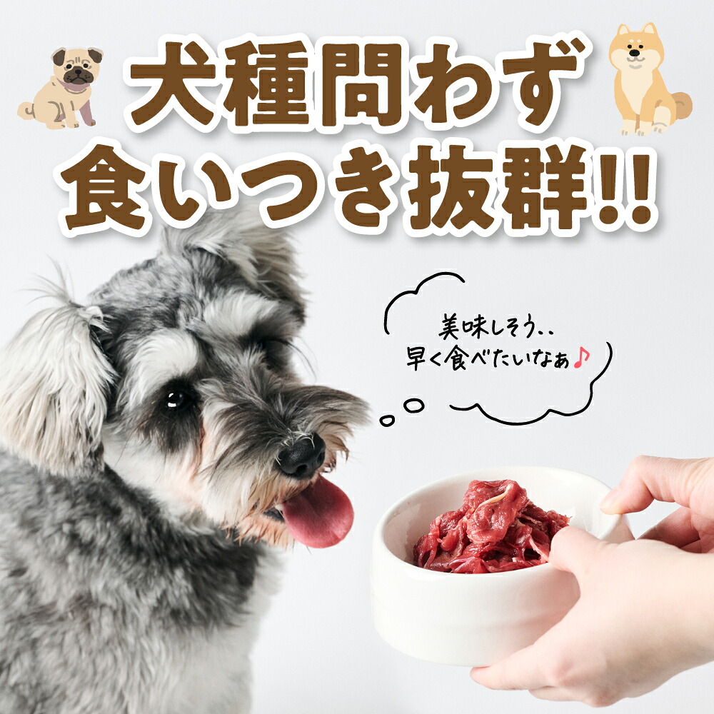 【選べる内容量】ペット用 馬肉切り落とし1~2kg 馬肉 ペットフード 愛犬 ドッグフード おやつ 食事 ごはん