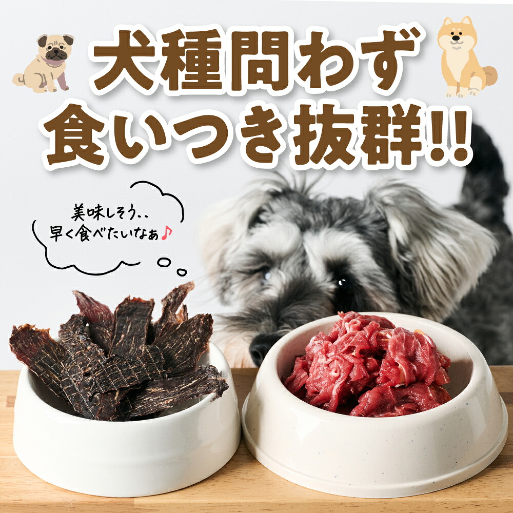 ペット用 馬肉切り落とし1kg＆馬刺しジャーキー100g 馬肉 ペットフード 愛犬 ドッグフード おやつ 食事 ごはん