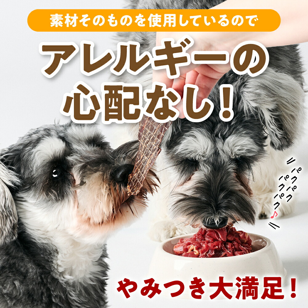 ペット用 馬肉切り落とし1kg＆馬刺しジャーキー100g 馬肉 ペットフード 愛犬 ドッグフード おやつ 食事 ごはん