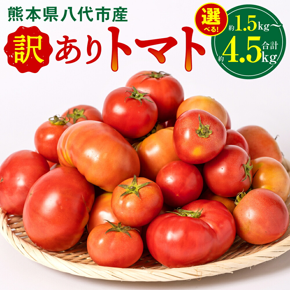 【先行予約】【選べる内容量】 訳ありトマト 約1.5kg~約4.5kg トマト 野菜 やさい 新鮮 とまと 訳あり 特産品 熊本県 八代市 【2027年4月中旬より順次発送】