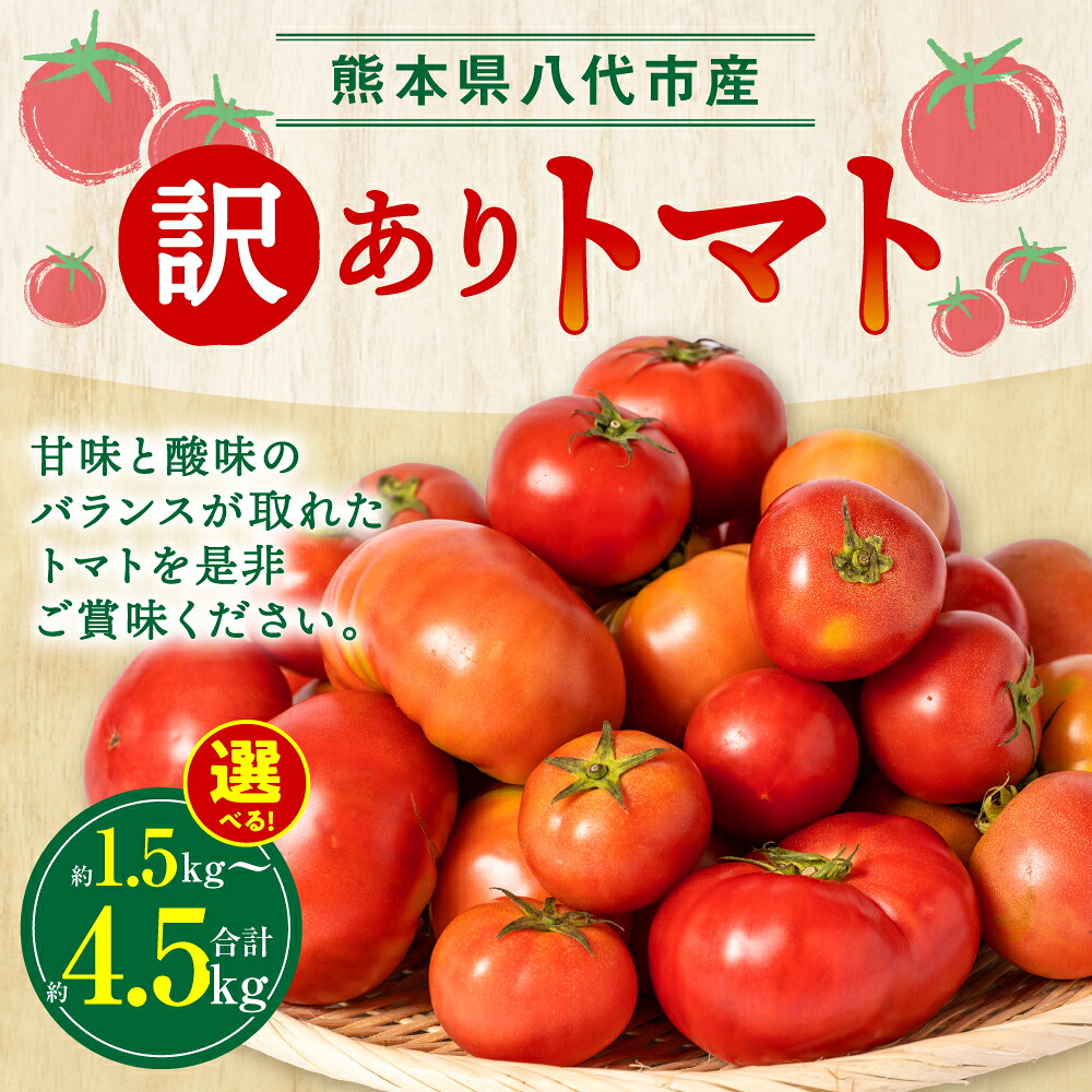 【先行予約】【選べる内容量】 訳ありトマト 約1.5kg~約4.5kg トマト 野菜 やさい 新鮮 とまと 訳あり 特産品 熊本県 八代市 【2027年4月中旬より順次発送】