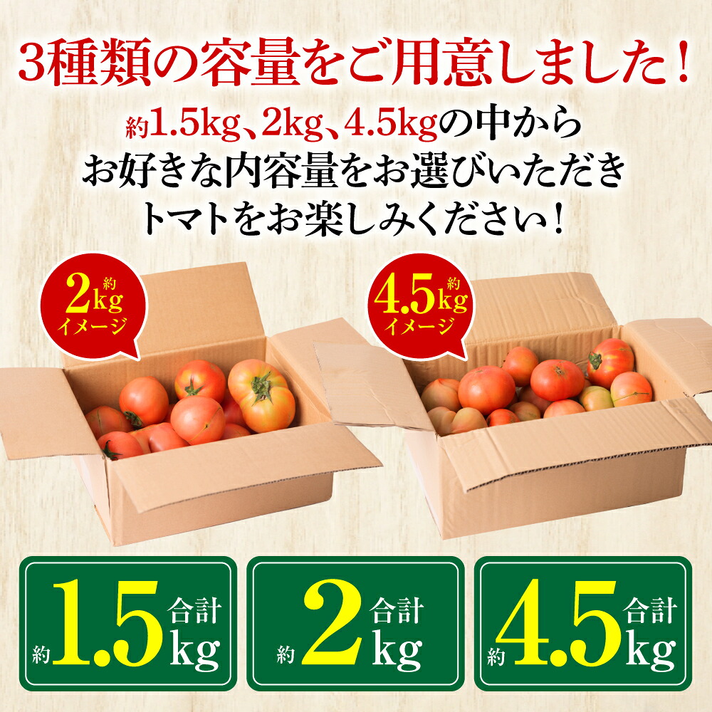 【先行予約】【選べる内容量】 訳ありトマト 約1.5kg~約4.5kg トマト 野菜 やさい 新鮮 とまと 訳あり 特産品 熊本県 八代市 【2027年4月中旬より順次発送】