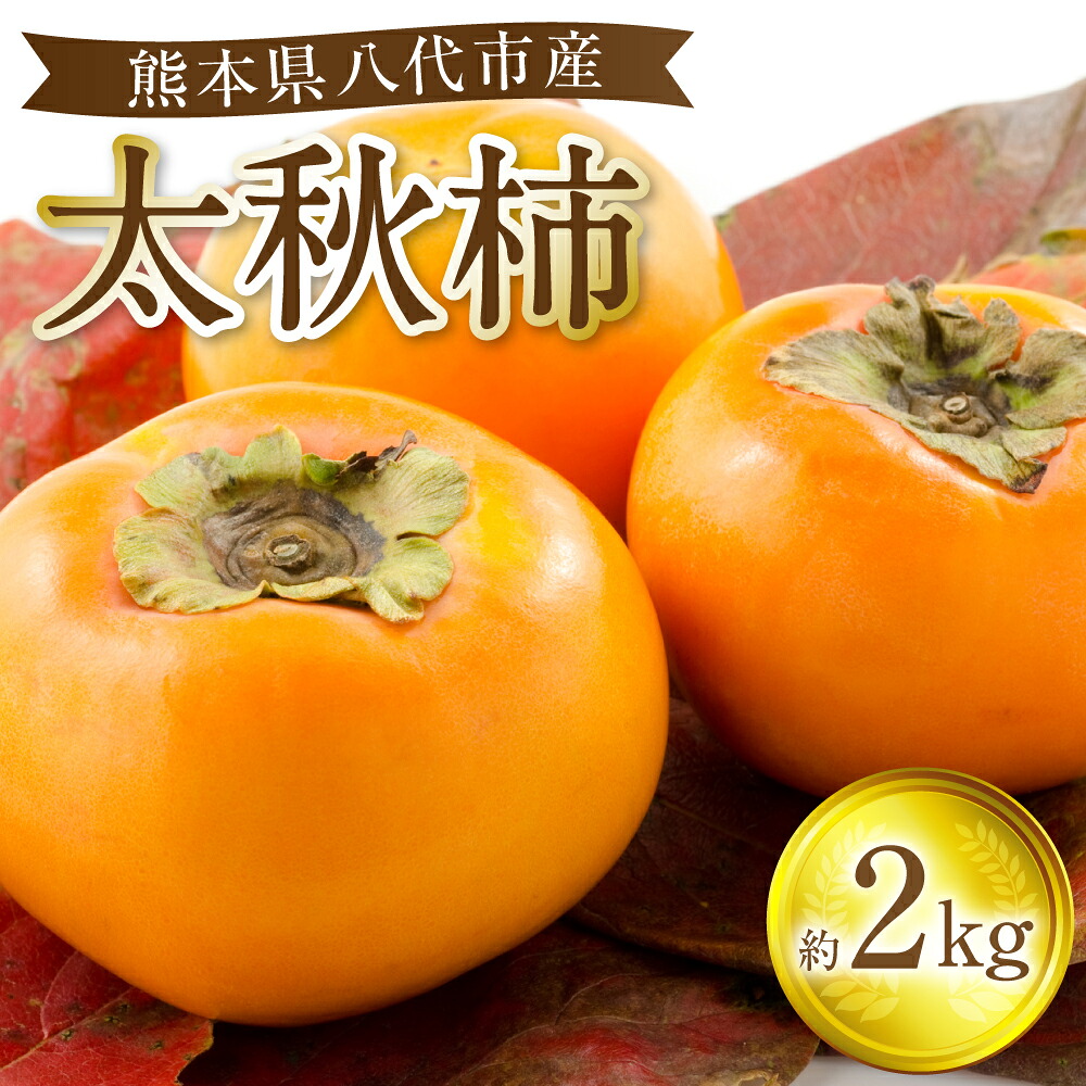 【先行予約】 太秋柿 約2kg (5～8玉) フルーツ 果物 くだもの 柿 カキ 旬 甘い おやつ 熊本県 八代市 【2026年10月上旬より順次発送】