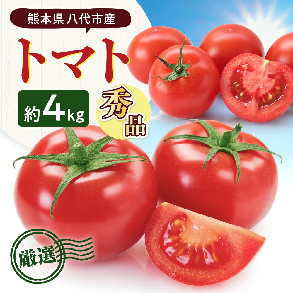 【先行予約】 熊本県八代市産 トマト 約4kg (20玉または24玉) とまと 野菜 やさい サラダ 旬 旬の野菜 新鮮 新鮮な野菜 熊本県 八代市 【2027年1月上旬より順次発送】