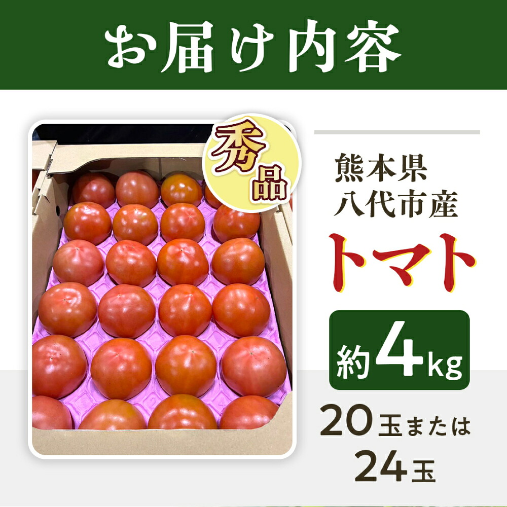 【先行予約】 熊本県八代市産 トマト 約4kg (20玉または24玉) とまと 野菜 やさい サラダ 旬 旬の野菜 新鮮 新鮮な野菜 熊本県 八代市 【2027年1月上旬より順次発送】