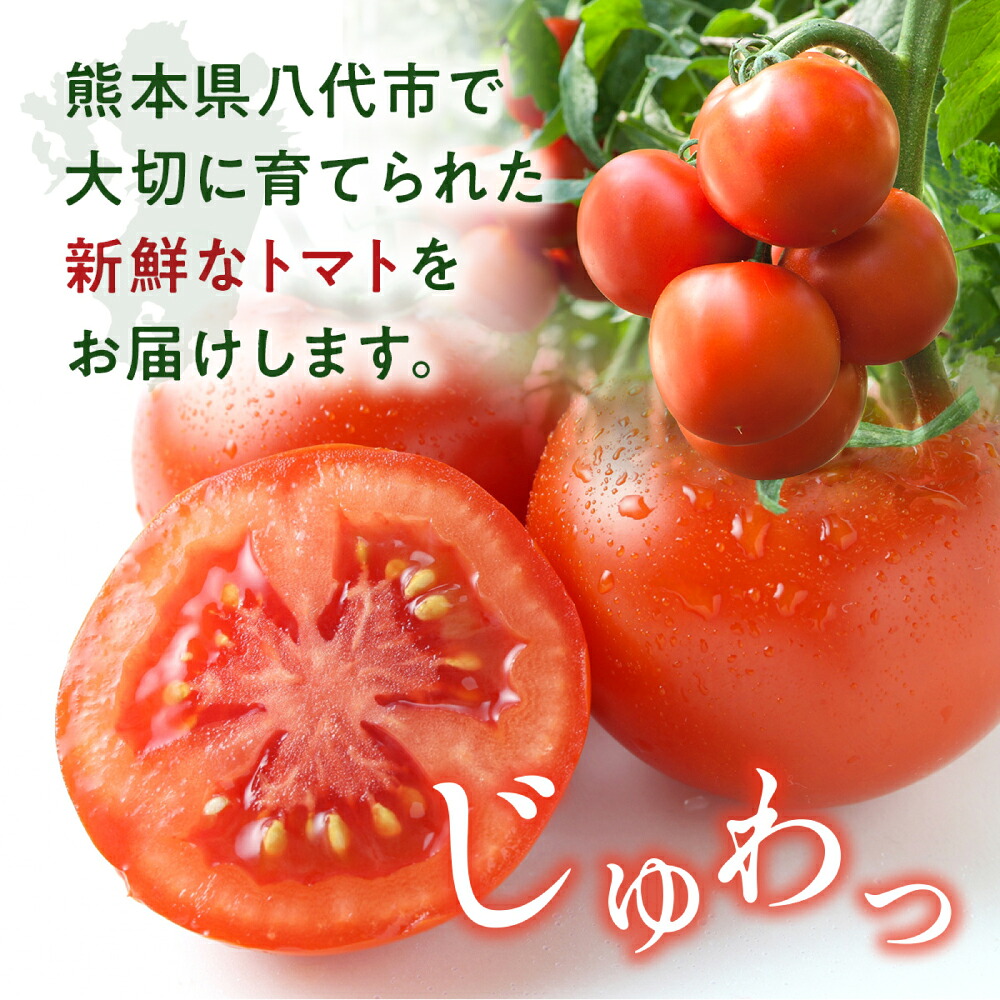 【先行予約】 熊本県八代市産 トマト 約4kg (20玉または24玉) とまと 野菜 やさい サラダ 旬 旬の野菜 新鮮 新鮮な野菜 熊本県 八代市 【2027年1月上旬より順次発送】