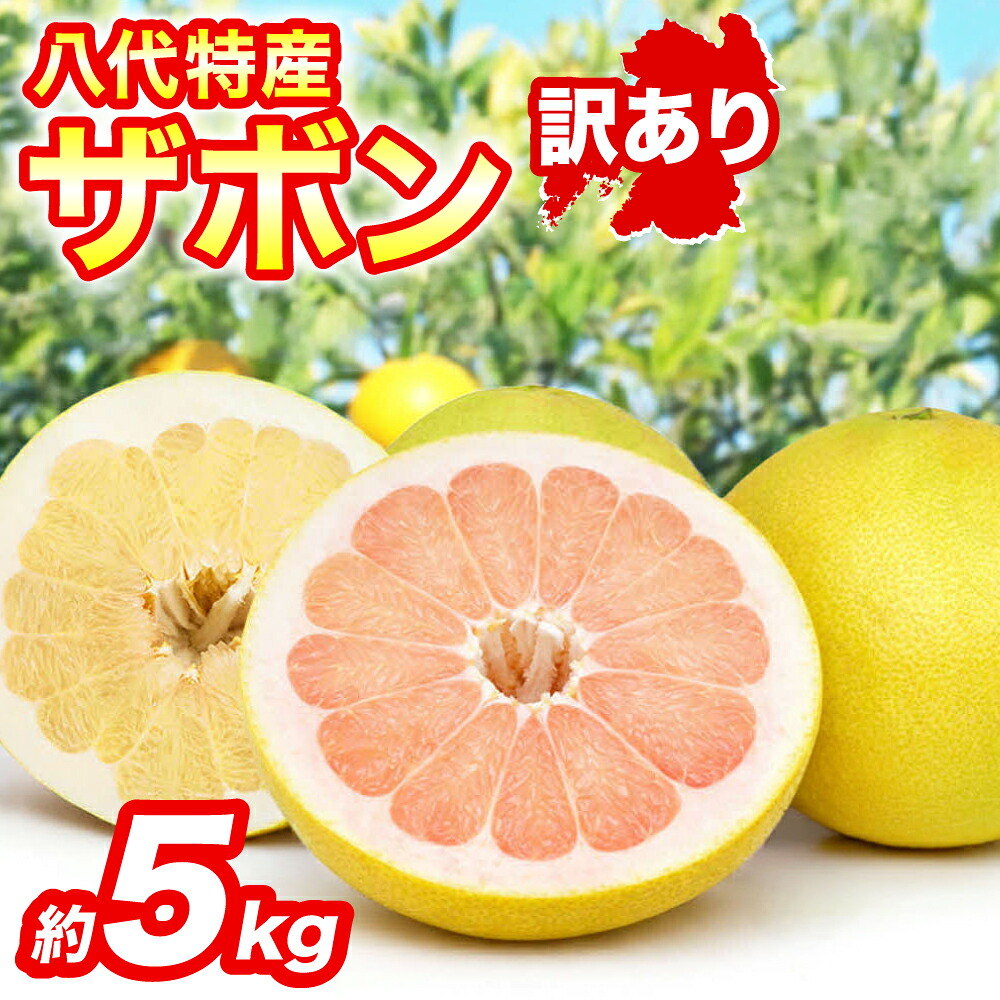 【先行予約】 【訳あり】 八代ザボン (赤肉または白肉) 約5kg (3～6玉)  果物 くだもの 果汁 柑橘 おやつ フルーツ デザート 熊本県 八代市 【2026年11月上旬より順次発送】