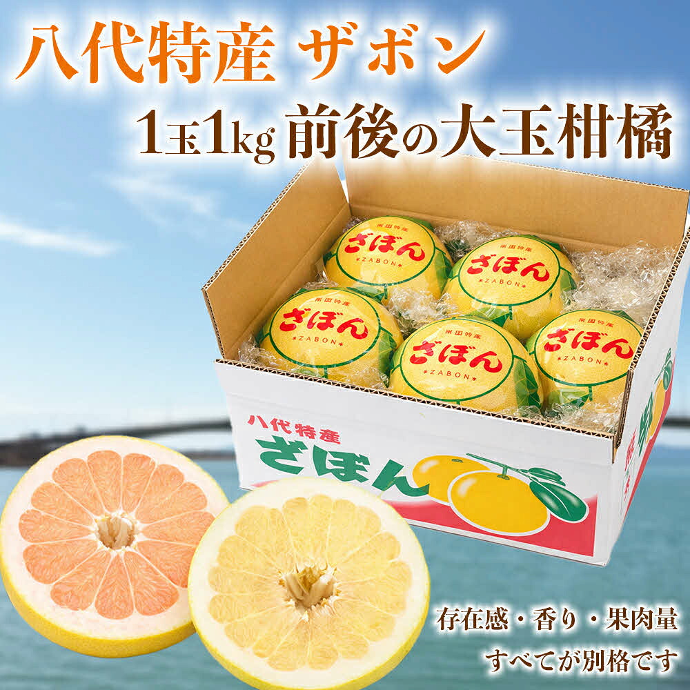【先行予約】 【訳あり】 八代ザボン (赤肉または白肉) 約5kg (3～6玉)  果物 くだもの 果汁 柑橘 おやつ フルーツ デザート 熊本県 八代市 【2026年11月上旬より順次発送】