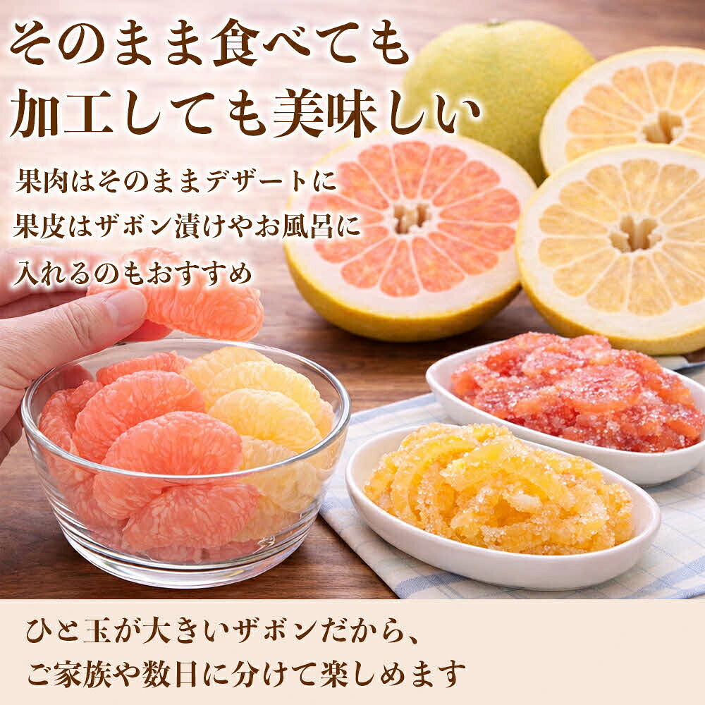 【先行予約】 【訳あり】 八代ザボン (赤肉または白肉) 約5kg (3～6玉)  果物 くだもの 果汁 柑橘 おやつ フルーツ デザート 熊本県 八代市 【2026年11月上旬より順次発送】