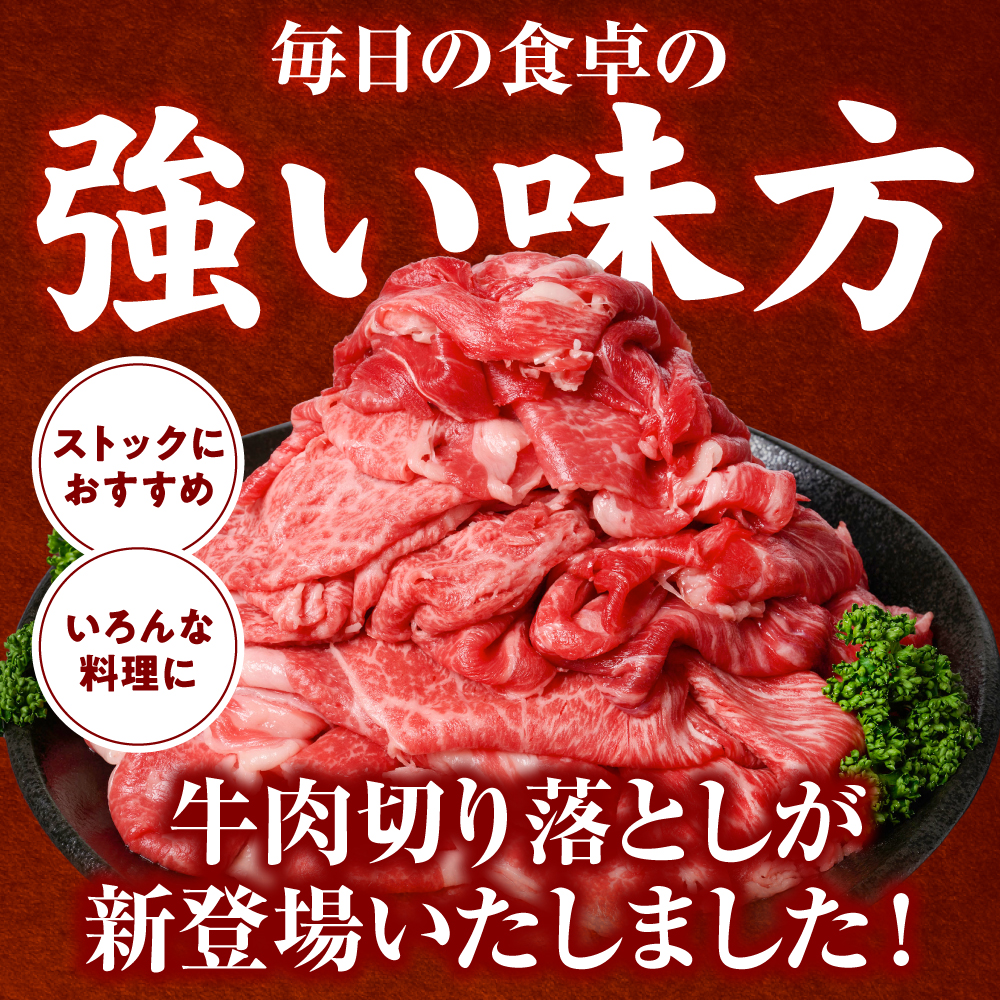 【訳あり】 【選べる内容量】くまもと黒毛和牛 切り落とし 合計500g 1kg 1.5kg 牛肉 肉 和牛 黒毛和牛 ブランド牛 牛丼 肉じゃが 国産 訳あり 小分け 熊本県 八代市