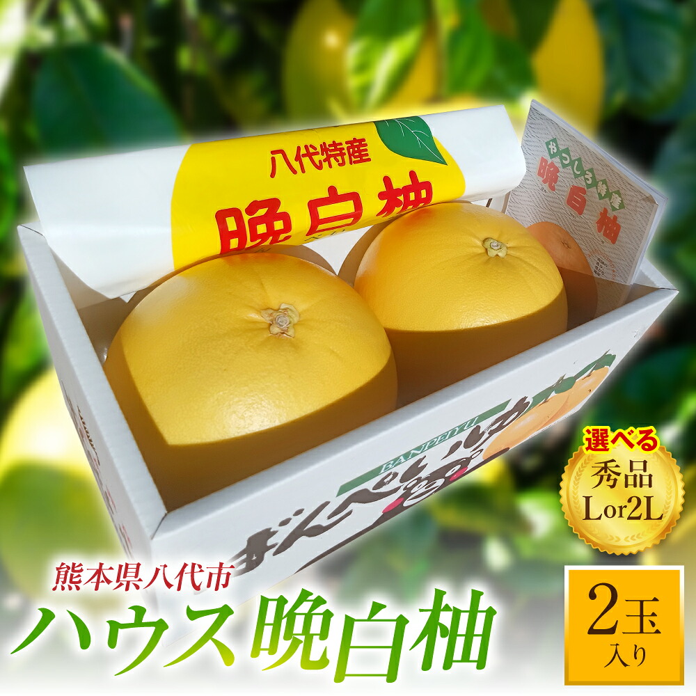 【先行予約】【選べる内容量】ハウス晩白柚 秀品L~2Lサイズ 2玉入り ばんぺいゆ 柑橘 果物 果実 くだもの フルーツ 特産品 熊本県 八代市 【2026年12月中旬より順次発送】