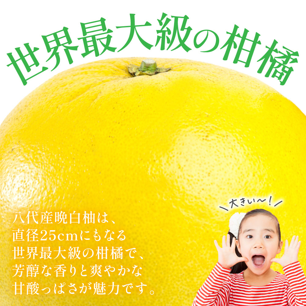 【先行予約】 晩白柚 （秀2L×2玉） 約4kg ばんぺいゆ 果物 果実 くだもの フルーツ 柑橘 柑橘類 熊本県 八代市  【2026年12月中旬より順次発送】