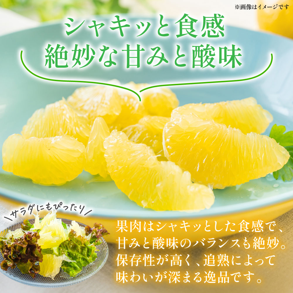 【先行予約】 晩白柚 （秀2L×2玉） 約4kg ばんぺいゆ 果物 果実 くだもの フルーツ 柑橘 柑橘類 熊本県 八代市  【2026年12月中旬より順次発送】