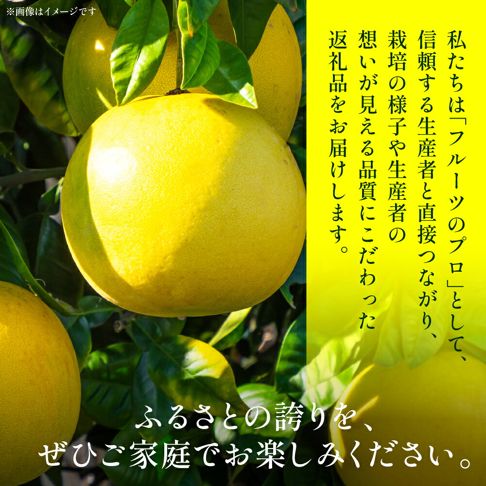 【先行予約】 晩白柚 （秀2L×2玉） 約4kg ばんぺいゆ 果物 果実 くだもの フルーツ 柑橘 柑橘類 熊本県 八代市  【2026年12月中旬より順次発送】
