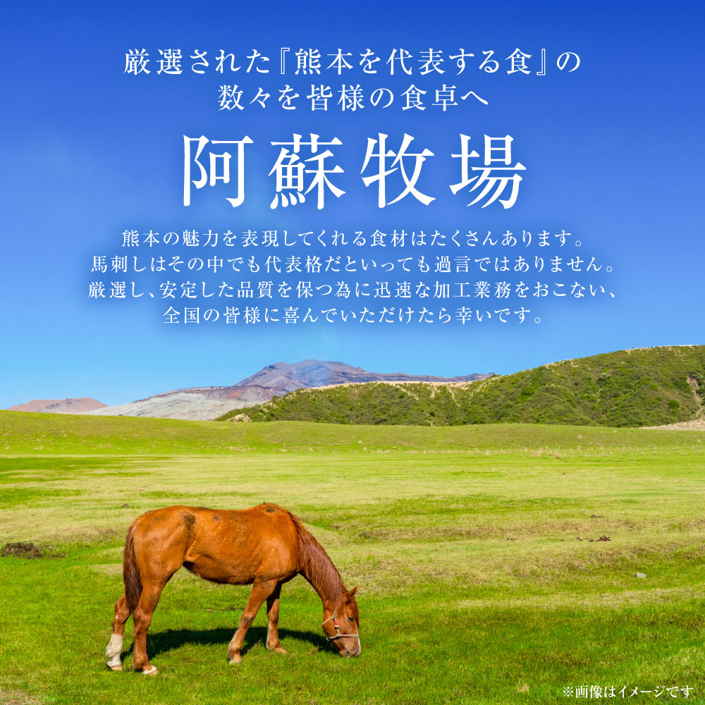 中トロ馬刺し300g 馬さし お肉 馬肉 刺身 刺し身 馬刺し 馬刺しブロック 馬刺し冷凍 おかず おつまみ 熊本県 八代市