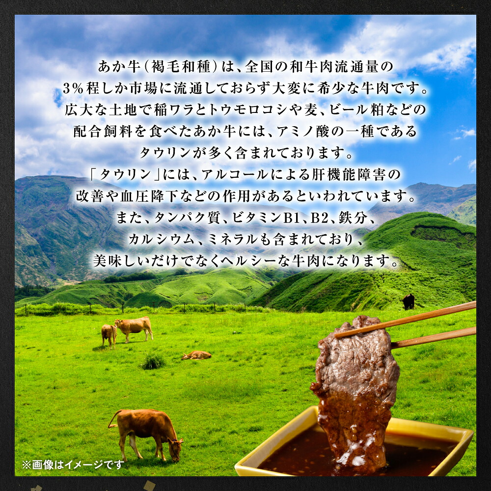 【GI認証】 くまもとあか牛 焼肉用 500g お肉 牛 焼肉 BBQ 赤身 バーベキュー 和牛 牛肉 褐毛和牛 国産和牛 国産 冷凍 熊本県 八代市