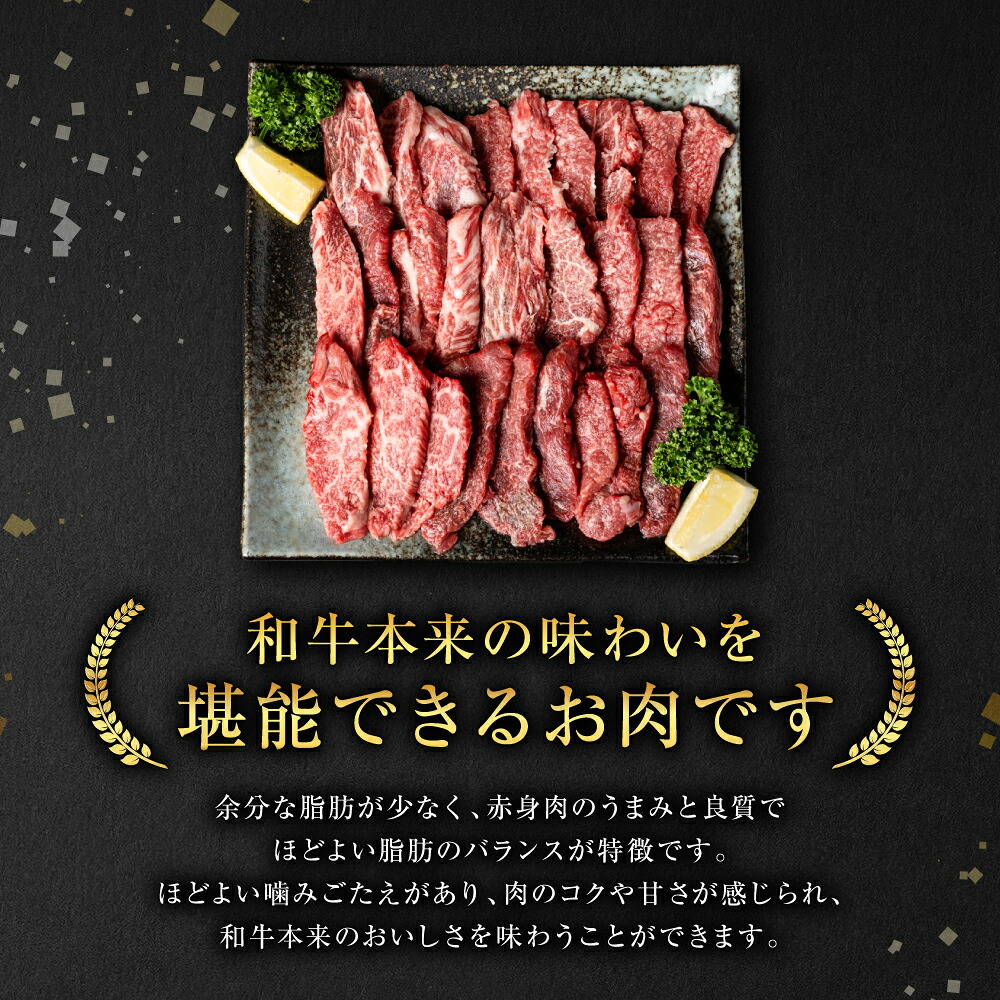 【GI認証】 くまもとあか牛 焼肉用 500g お肉 牛 焼肉 BBQ 赤身 バーベキュー 和牛 牛肉 褐毛和牛 国産和牛 国産 冷凍 熊本県 八代市