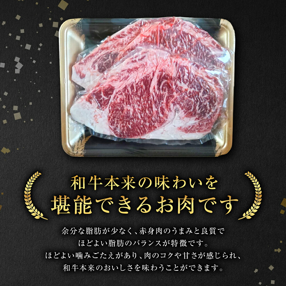 【GI認証】 くまもとあか牛 ロースステーキ 約500g お肉 牛 ロース ステーキ 赤身 和牛 牛肉 褐毛和牛 国産和牛 国産 冷凍 熊本県 八代市